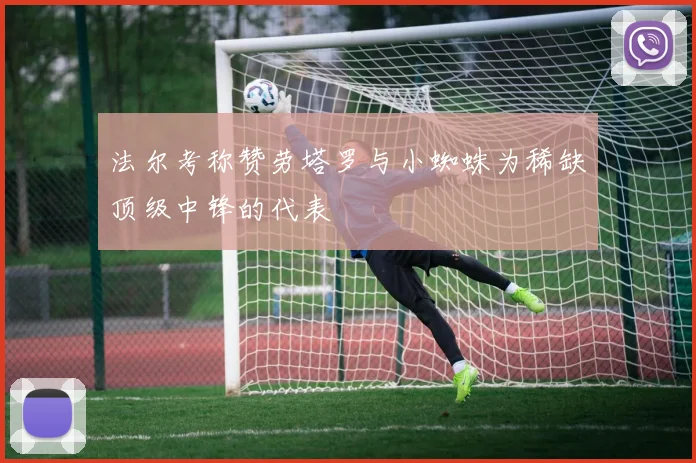法尔考称赞劳塔罗与小蜘蛛为稀缺顶级中锋的代表